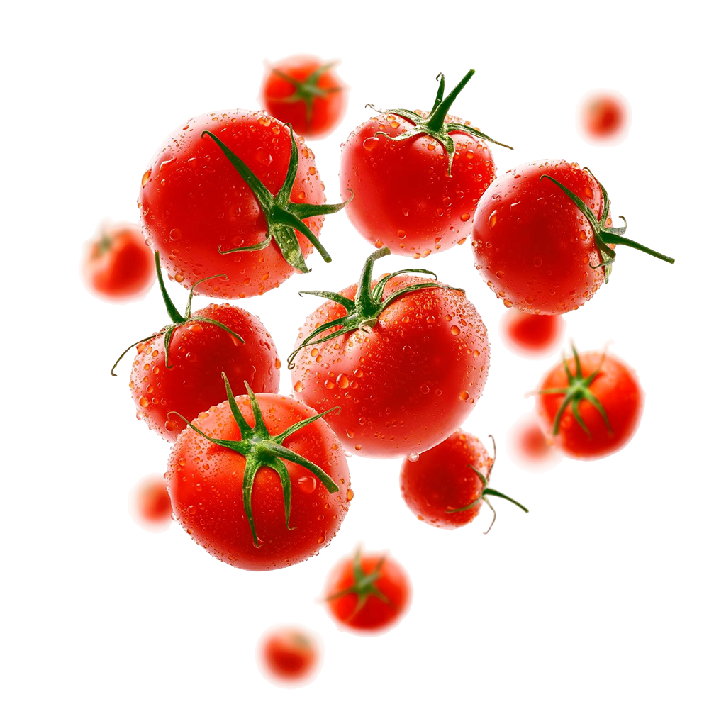 tomatoes_